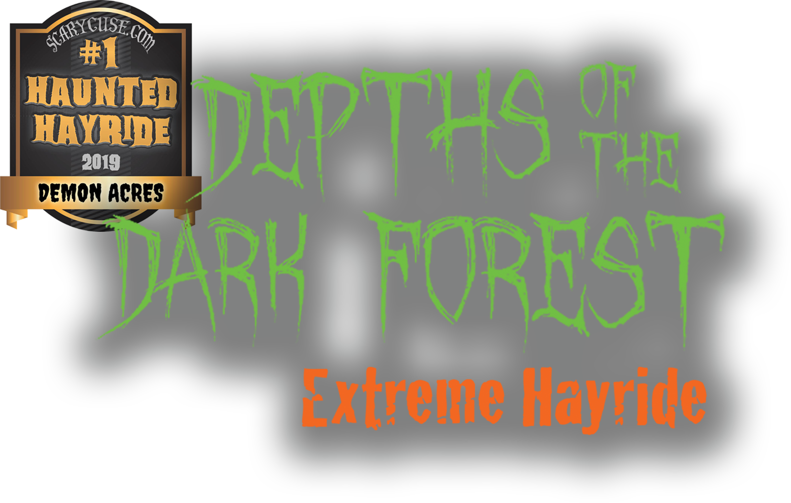 Depths of the Dark Forest